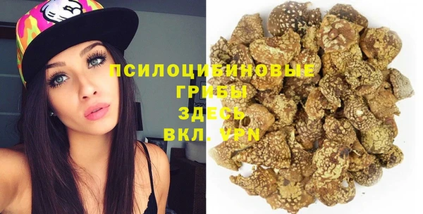 Альфа ПВП Магас
