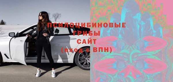 Альфа ПВП Магас